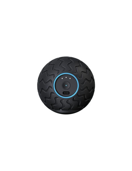 Theragun Wave Solo masajeador Universal Negro