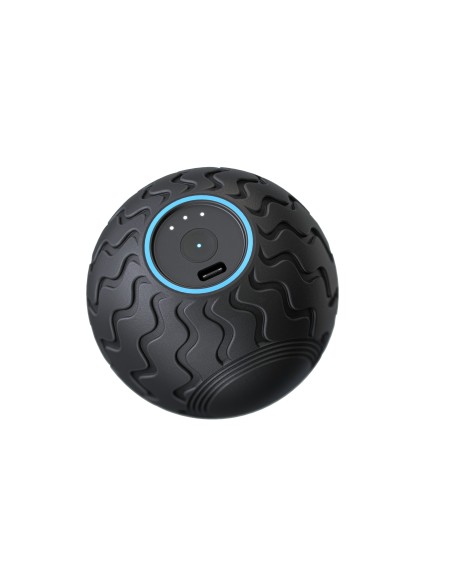 Theragun Wave Solo masajeador Universal Negro