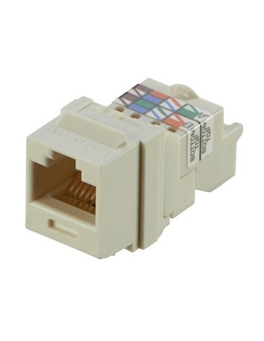 Panduit NK6TMIW módulo de conector de red