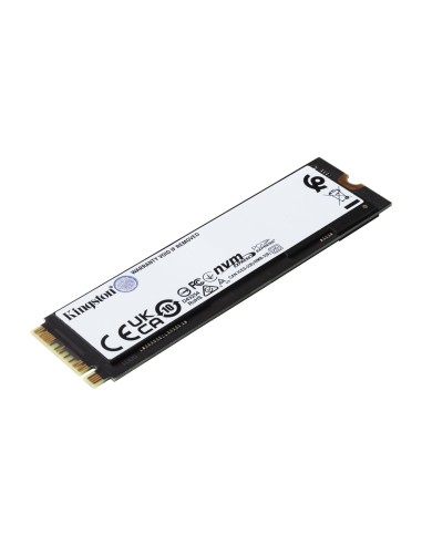 Kingston Technology 2000G FURY RENEGADE M.2 2280 NVMe SSD