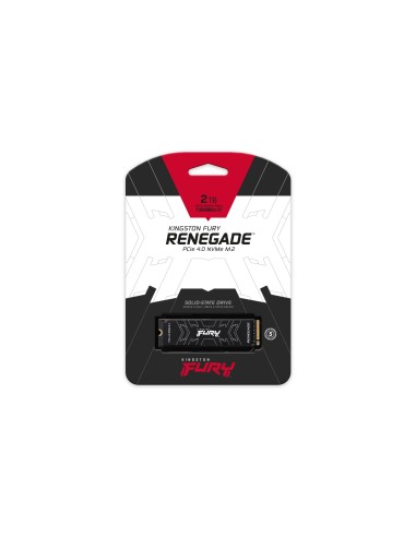 Kingston Technology 2000G FURY RENEGADE M.2 2280 NVMe SSD