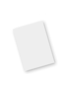 Zebra SG-TC7X-SCRNTMP-01 accesorio para ordenador de bolsillo tipo PDA