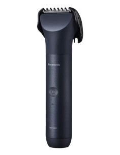 Panasonic MULTISHAPE Negro 15 Ión de litio 2