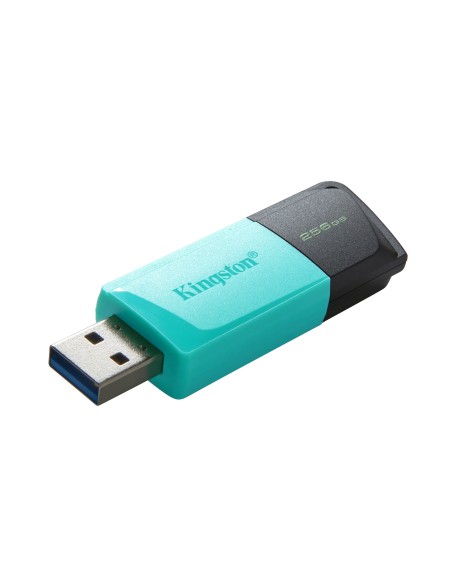 Kingston Technology DataTraveler 256GB USB3.2 Gen1 Exodia M (Negro + Turquesa) Kingston Technology DataTraveler 256GB USB3.2 Gen1 Exodia M (Negro + Turquesa)
