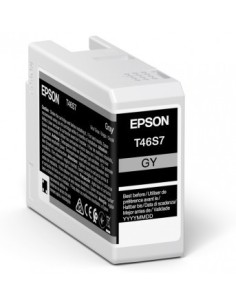 Epson UltraChrome Pro cartucho de tinta 1 pieza(s) Original Gris