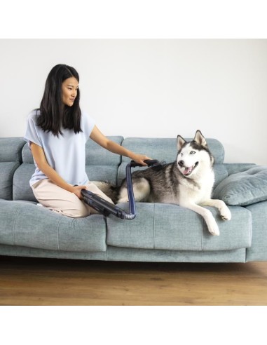 Cecotec 08399 aspiradora de pie y escoba eléctrica Aspiradora escoba 2 en 1 Batería Secar Sin bolsa 210 W Negro 2,5 Ah