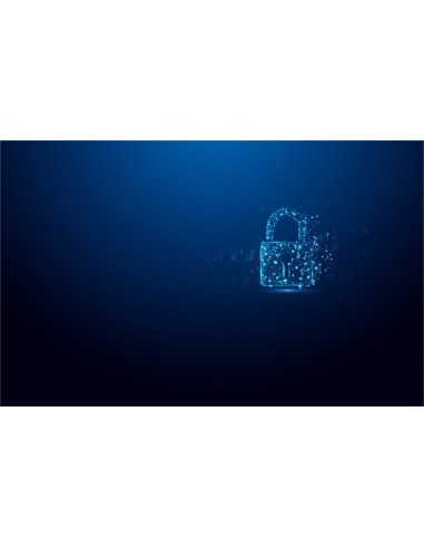 Kingston Technology IronKey 32GB Vault Privacy 50 cifrado AES-256, FIPS 197