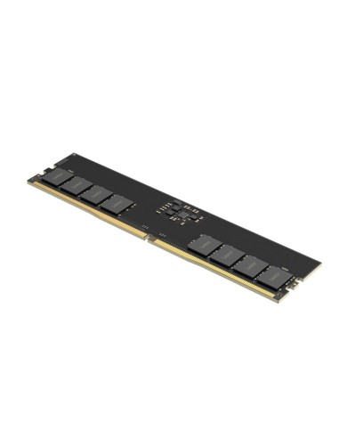 Lexar LD5U32G56C46ST-BGS módulo de memoria 32 GB 1 x 32 GB DDR5 5600 MT s ECC