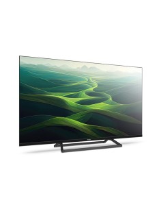 Engel LE4066T2 Televisor 101,6 cm (40") Full HD Negro 230 cd   m² 2