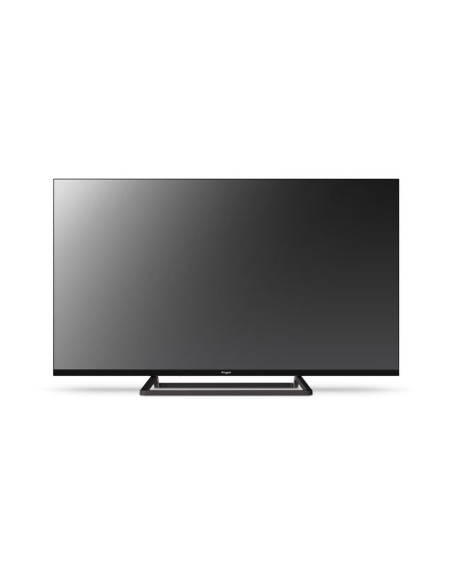 Engel LE4066T2 Televisor 101,6 cm (40") Full HD Negro 230 cd   m²