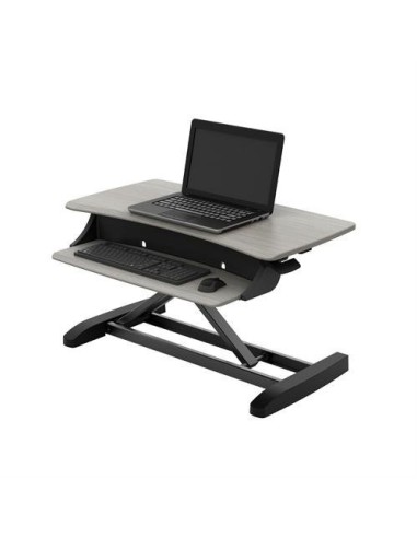 Ergotron WorkFit-Z Mini
