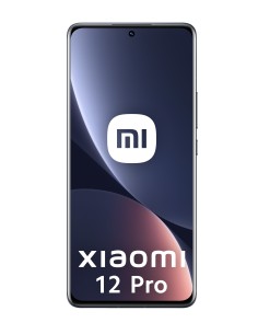 Xiaomi 12 Pro 17,1 cm (6.73") SIM doble Android 12 5G USB Tipo C 12 GB 256 GB 4600 mAh Gris
