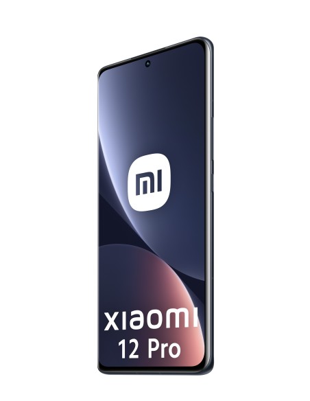Xiaomi 12 Pro 17,1 cm (6.73") SIM doble Android 12 5G USB Tipo C 12 GB 256 GB 4600 mAh Gris