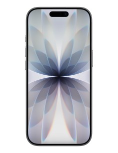 Apple iPhone 17 16 cm (6.3") SIM doble iOS 26 5G USB Tipo C 256 GB Negro 2