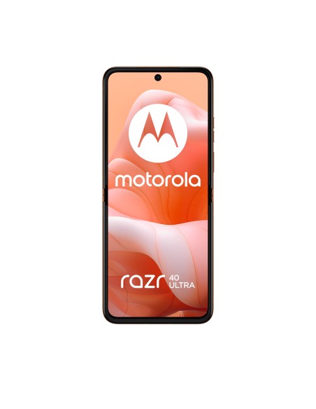 Motorola razr 40 Ultra 17,5 cm (6.9") SIM doble Android 13 5G USB Tipo C 8 GB 256 GB 3800 mAh Durazno