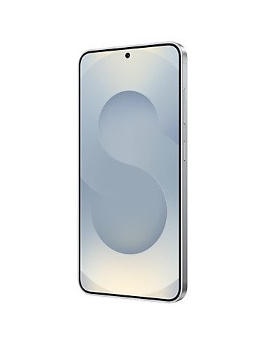 Samsung Galaxy S25 Enterprise Edition 15,8 cm (6.2") SIM doble Android 15 5G USB Tipo C 12 GB 128 GB 4000 mAh Plata