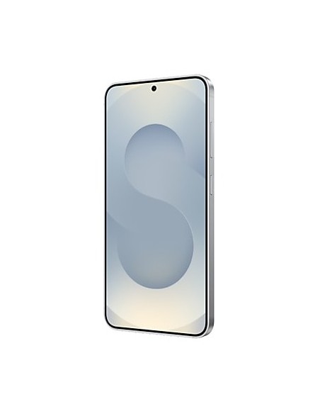 Samsung Galaxy S25 Enterprise Edition 15,8 cm (6.2") SIM doble Android 15 5G USB Tipo C 12 GB 128 GB 4000 mAh Plata