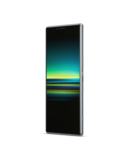 Sony Xperia 1 16,5 cm (6.5") SIM doble Android 9.0 4G USB Tipo C 6 GB 128 GB 3330 mAh Gris