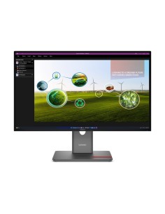 Lenovo ThinkVision P27Q-40 LED display 68,6 cm (27") 2560 x 1440 Pixeles Quad HD Negro
