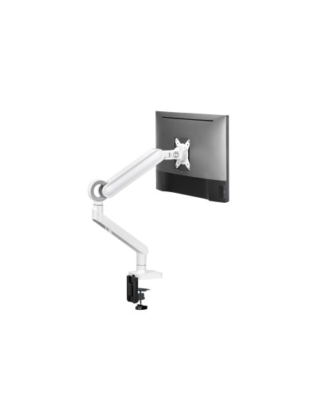 Equip Soporte de escritorio para monitor de 17«-35», blanco
