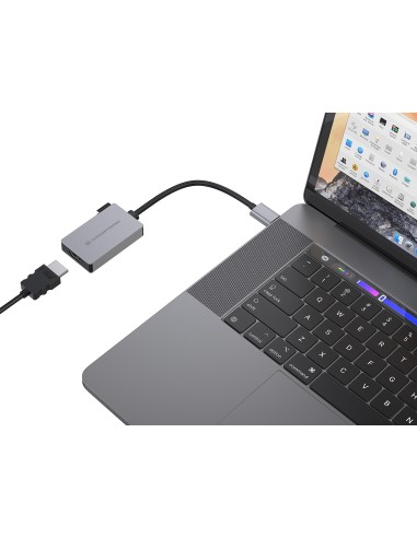 Conceptronic ABBY22G Adaptador gráfico USB 1920 x 1080 Pixeles Gris