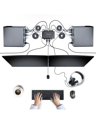StarTech.com C2-D46-UAC-CBL-KVM interruptor KVM Negro