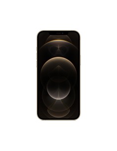 Apple iPhone 12 Pro Max 17 cm (6.7") SIM doble iOS 14 5G 256 GB Oro