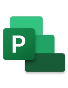 Microsoft Project Standard 2024 Gestión de proyectos Completo 1 licencia(s)