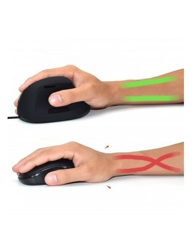 Ewent EW3157 ratón Oficina mano derecha USB tipo A Óptico 1800 DPI