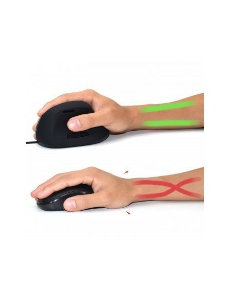 Ewent EW3157 ratón Oficina mano derecha USB tipo A Óptico 1800 DPI