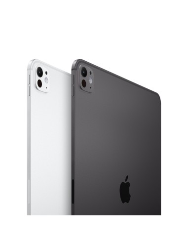 Apple iPad Pro 5G Apple M TD-LTE & FDD-LTE 512 GB 27,9 cm (11") 8 GB Wi-Fi 6E (802.11ax) iPadOS 17 Plata