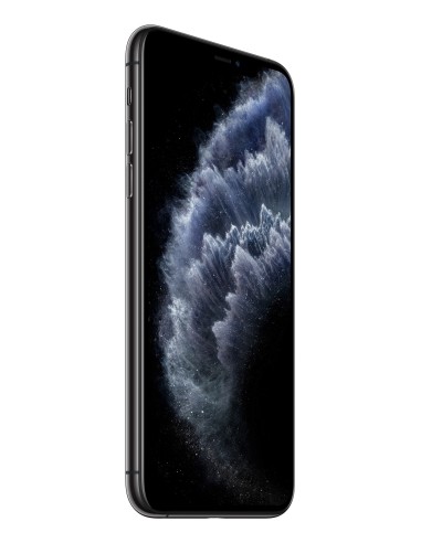 Apple iPhone 11 Pro Max 16,5 cm (6.5") SIM doble iOS 13 4G 256 GB Gris