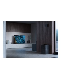 Sony FWD-55A80L Televisor 139,7 cm (55") 4K Ultra HD Smart TV Wifi Negro 2