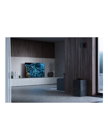 Sony FWD-55A80L Televisor 139,7 cm (55") 4K Ultra HD Smart TV Wifi Negro