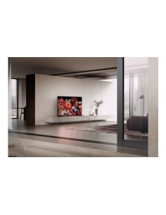 Sony FWD-65X95L Televisor 165,1 cm (65") 4K Ultra HD Smart TV Wifi Negro 2