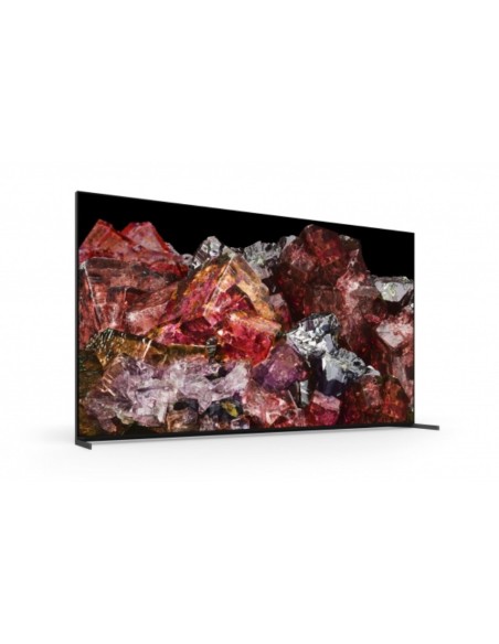 Sony FWD-65X95L Televisor 165,1 cm (65") 4K Ultra HD Smart TV Wifi Negro