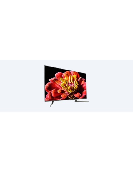 Sony KD-49XG9005 124,5 cm (49") 4K Ultra HD Smart TV Wifi Negro, Plata