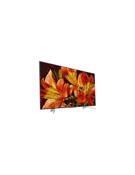 Sony KD55XF8596 139,7 cm (55") 4K Ultra HD Smart TV Wifi Negro