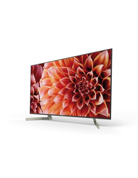 Sony KD-55XF9005 139,7 cm (55") 4K Ultra HD Smart TV Wifi Negro