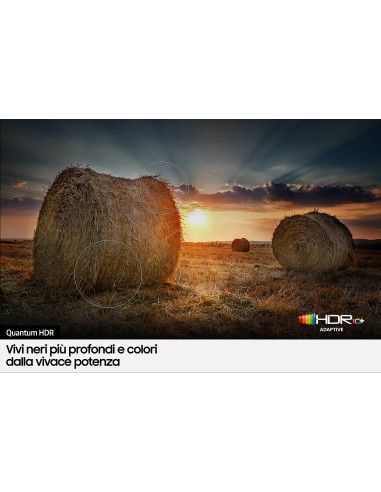 Samsung Series 6 QE43Q60BAU 109,2 cm (43") 4K Ultra HD Smart TV Wifi Negro