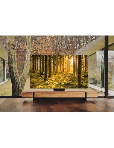 Samsung Series 9 85QN900B 2,16 m (85") 8K Ultra HD Smart TV Wifi Acero inoxidable