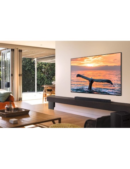 Samsung TQ65QN95DAT 165,1 cm (65") 4K Ultra HD Smart TV Wifi Negro