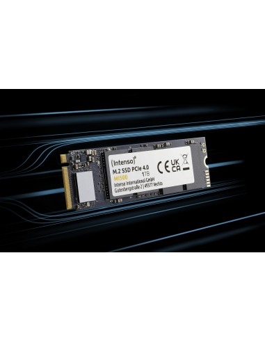 Intenso 3836450 unidad de estado sólido 500 GB M.2 PCI Express 4.0 NVMe