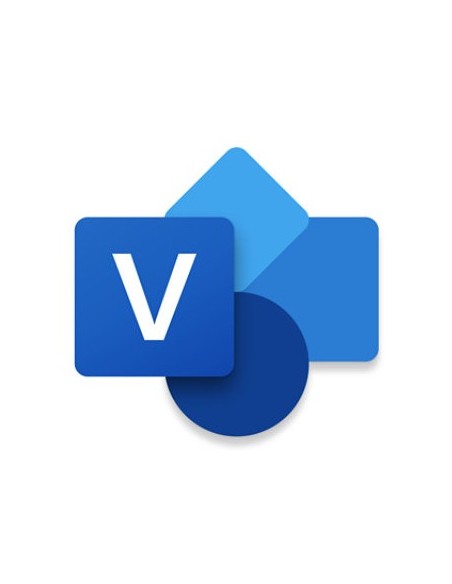 Microsoft Visio Professional 2024 Representación mediante gráficos Completo 1 licencia(s)