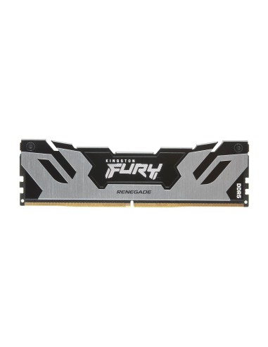 Kingston Technology FURY 32 GB 6400 MT s DDR5 CL32 DIMM (Kits de 2) Renegade Silver