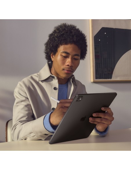 Apple iPad Pro 5G Apple M TD-LTE & FDD-LTE 2 TB 27,9 cm (11") 16 GB Wi-Fi 6E (802.11ax) iPadOS 17 Plata