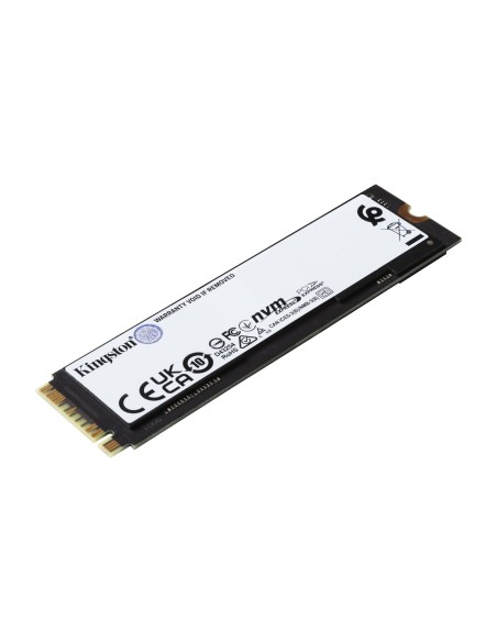Kingston Technology 2000G FURY RENEGADE M.2 2280 NVMe SSD