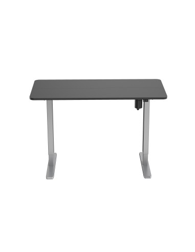 Equip ERGO Bipedestador Eléctrico con Pupitre, Gris