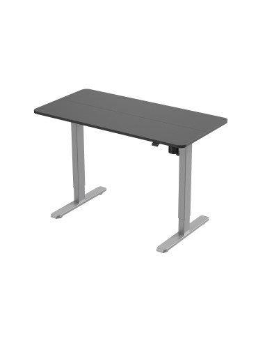 Equip ERGO Bipedestador Eléctrico con Pupitre, Gris
