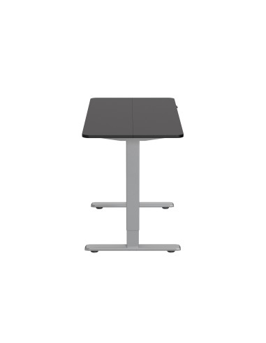 Equip ERGO Bipedestador Eléctrico con Pupitre, Gris